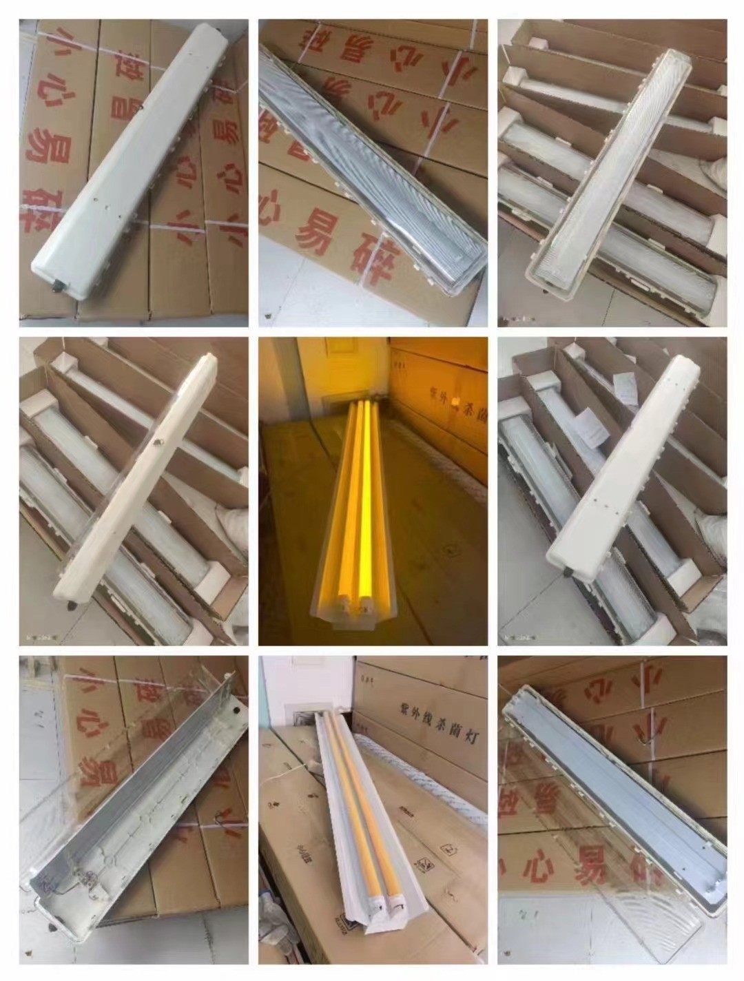 explosion proof fluorescent lamp